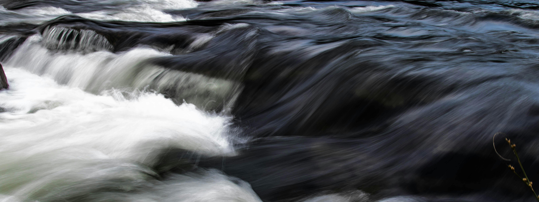 Image Call Out Floods